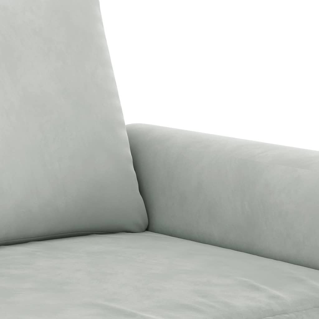 Light Gray Velvet 2 Piece Sofa Set W9261
