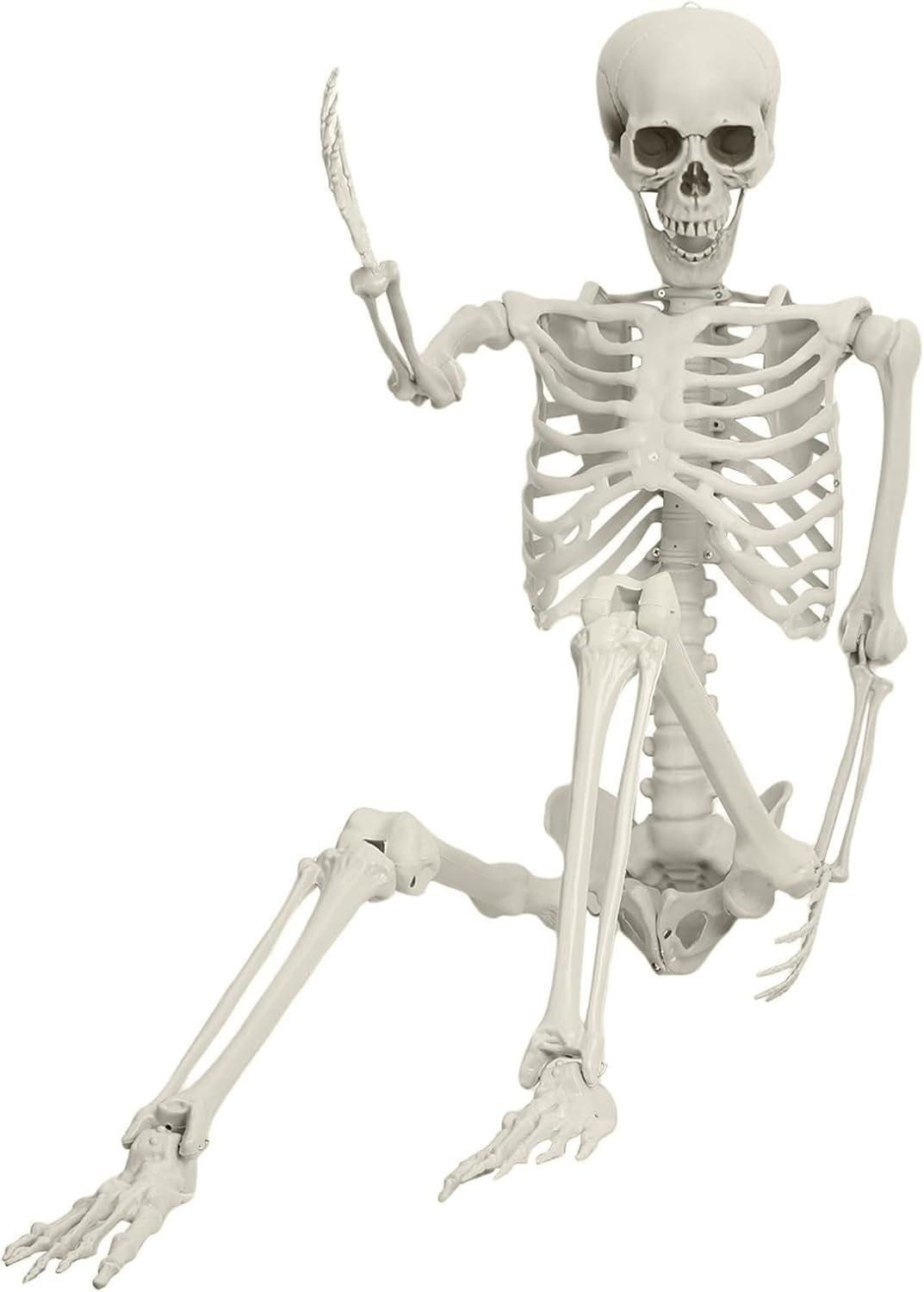 5.4ft Life Size Skeleton with Movable Joints R66812