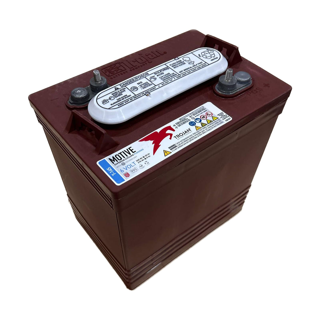 6V Deep-Cycle Flooded Battery 260Ah Pack of 4 J4819