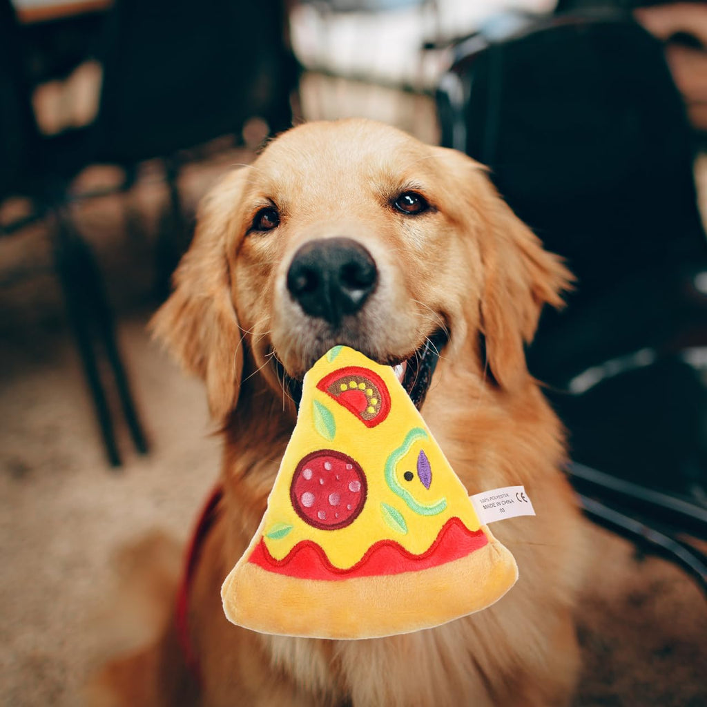Squeaky Pizza Plush Dog Chew Toy 1 Pack Q1824