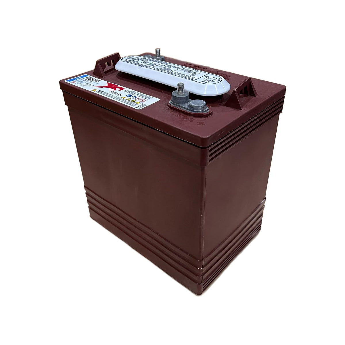 6V Deep-Cycle Flooded Battery 260Ah Pack of 4 J4819