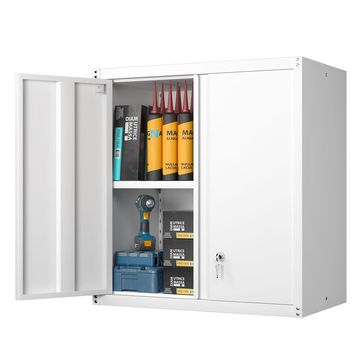Metal Wall Mounted Storage Cabinet with Lock G459