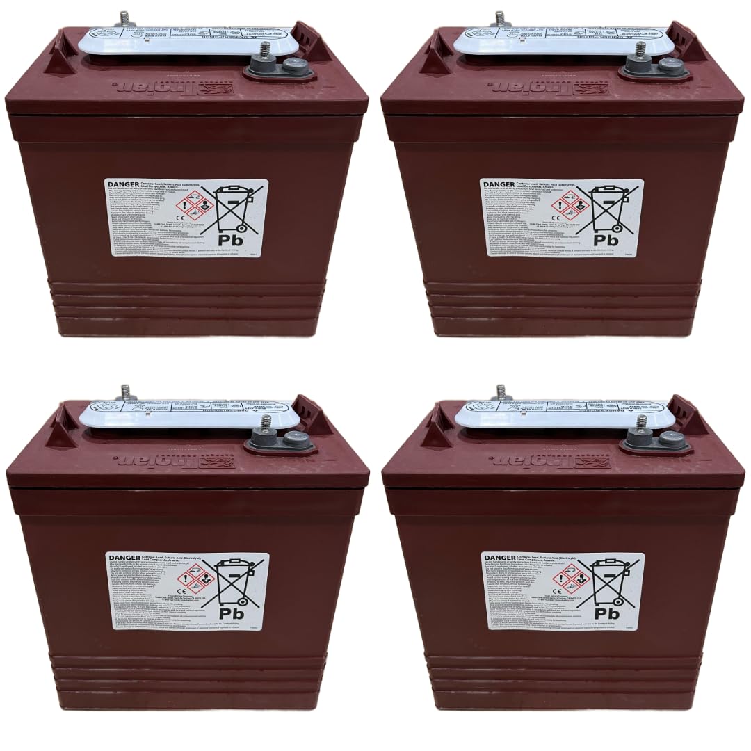6V Deep-Cycle Flooded Battery 260Ah Pack of 4 J4819