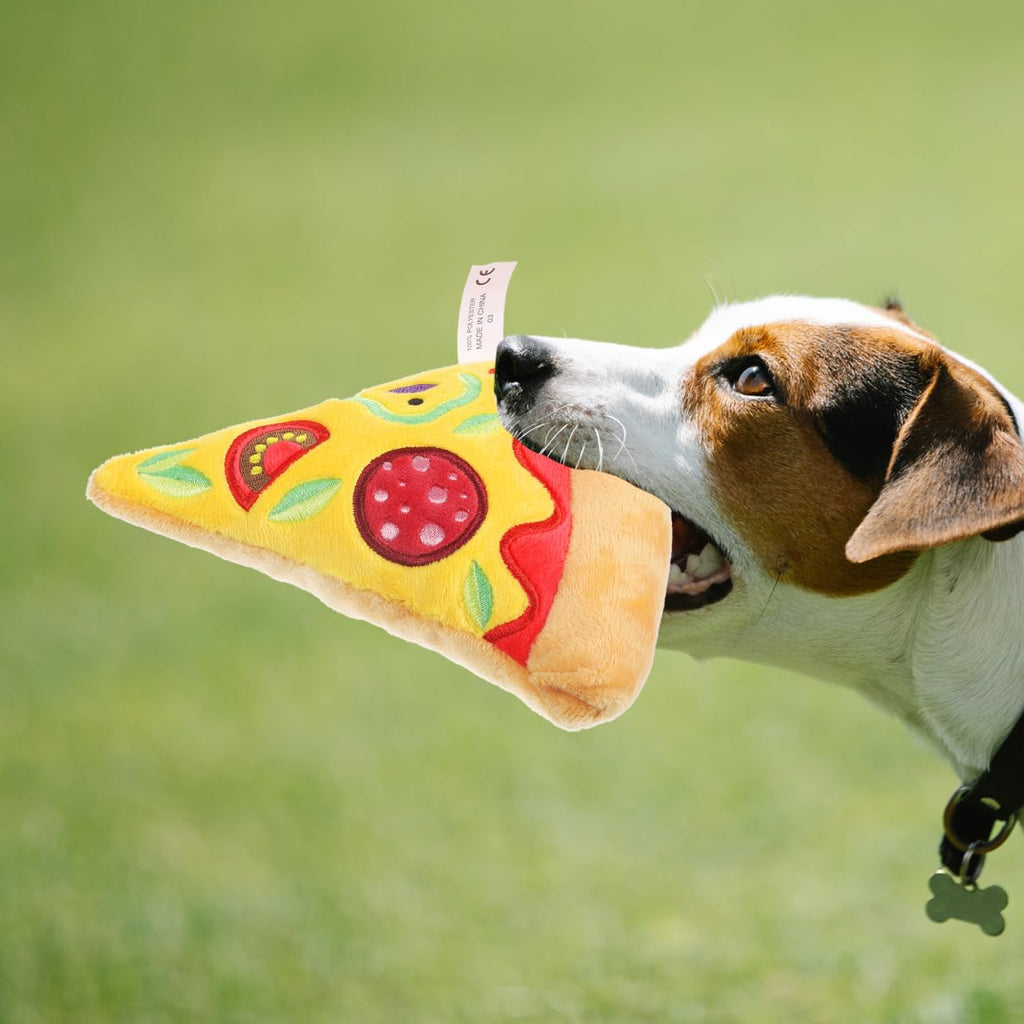 Squeaky Pizza Plush Dog Chew Toy 1 Pack Q1824