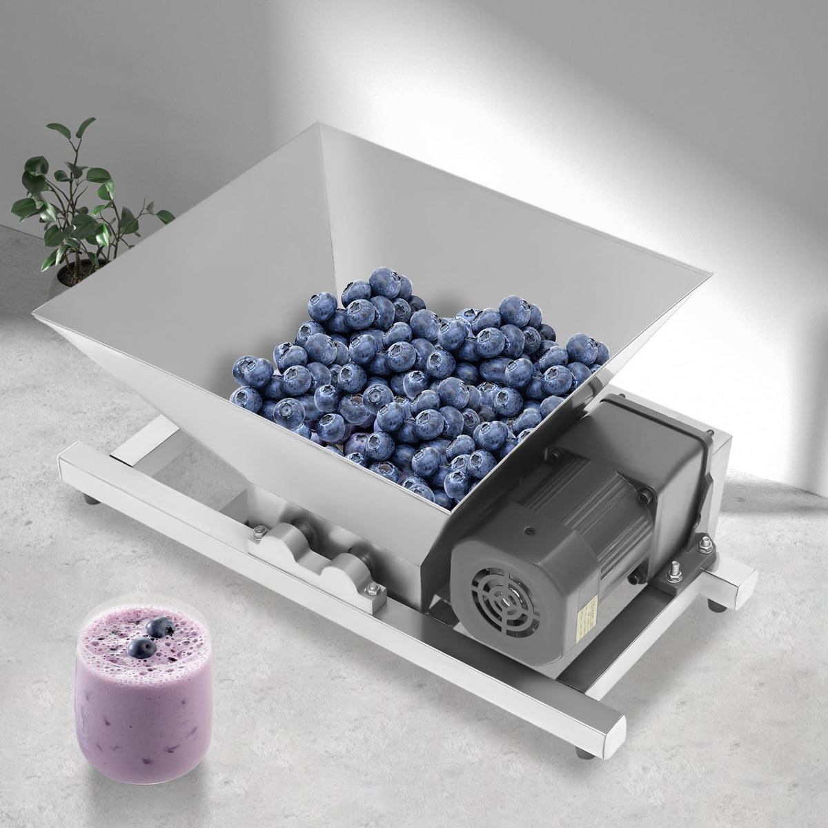 60W Stainless Steel 4L Fruit Crusher H24935