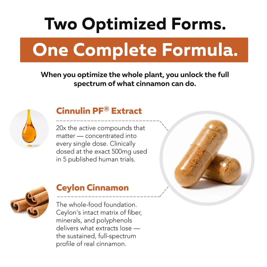 Cinnamon 1000mg Extract 60 Vegan Capsules V896