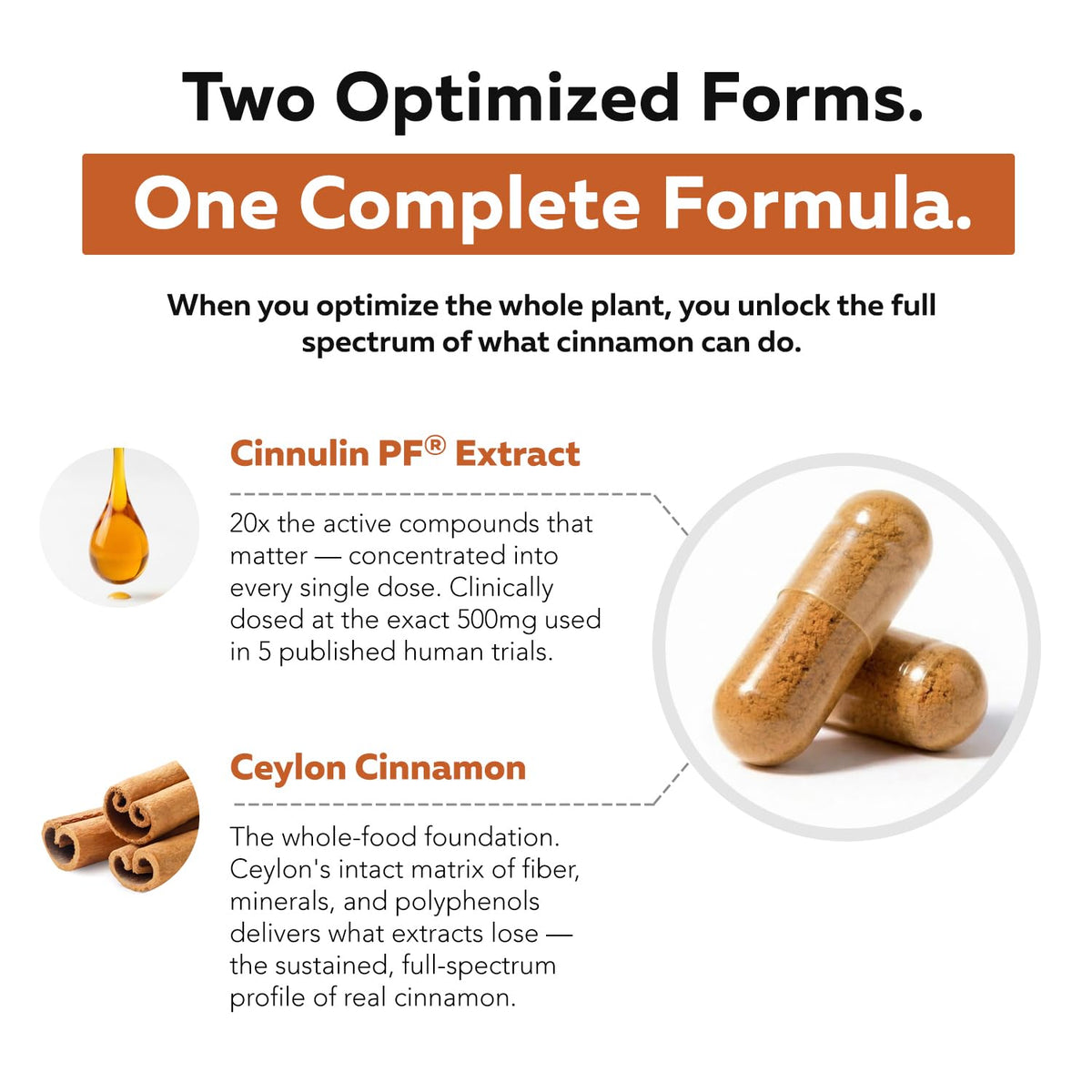 Cinnamon 1000mg Extract 60 Vegan Capsules V896
