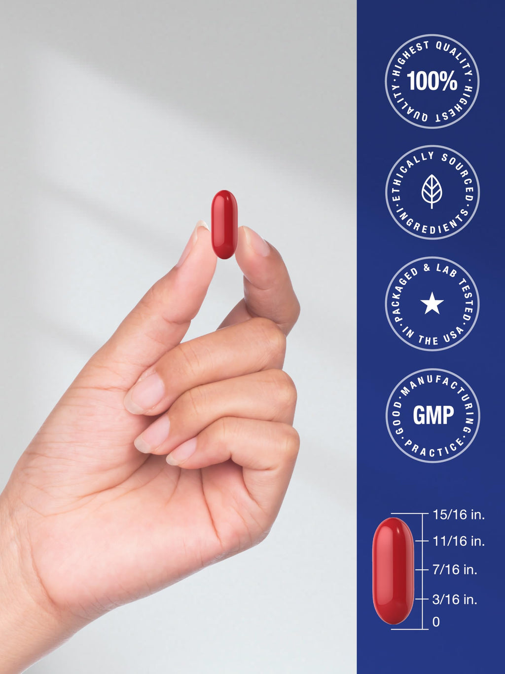 Memory Support Supplement 60 Softgels O450