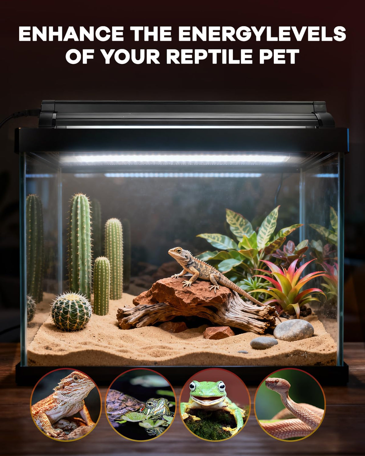 8W T5 UVB Reptile Light Fixture Combo Kit C9107