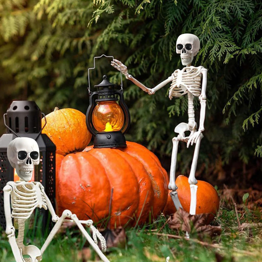 5.4Ft/165cm Life Size Skeleton with Movable Joints T890