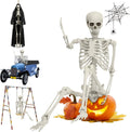 5.4ft Life Size Skeleton with Movable Joints R66812
