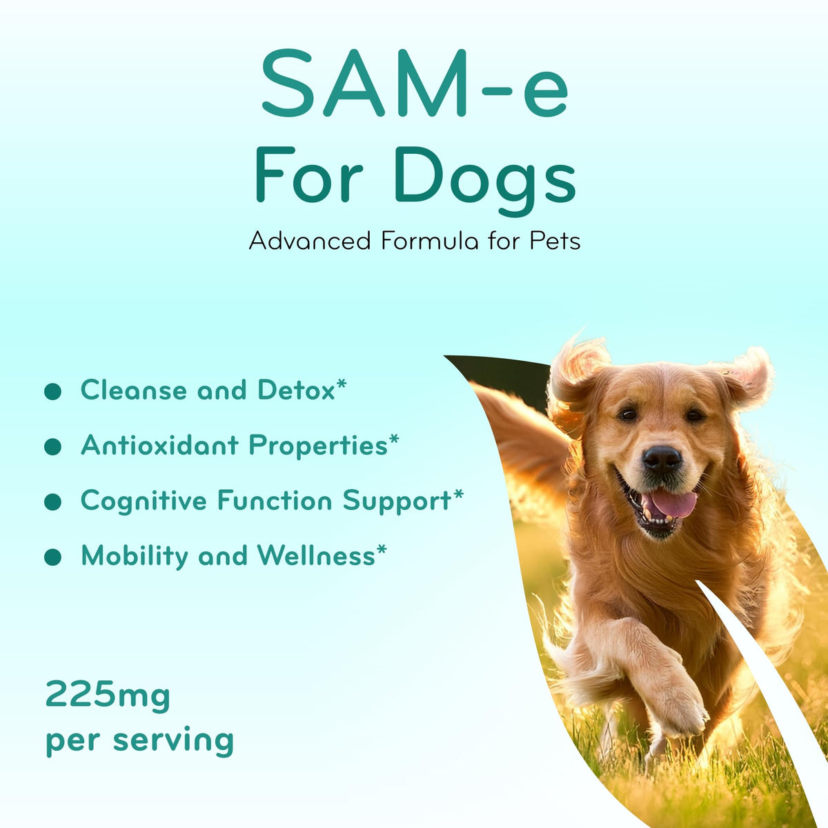 Chewable SAM-e Liver Support Supplement for Dogs 225mg V8735