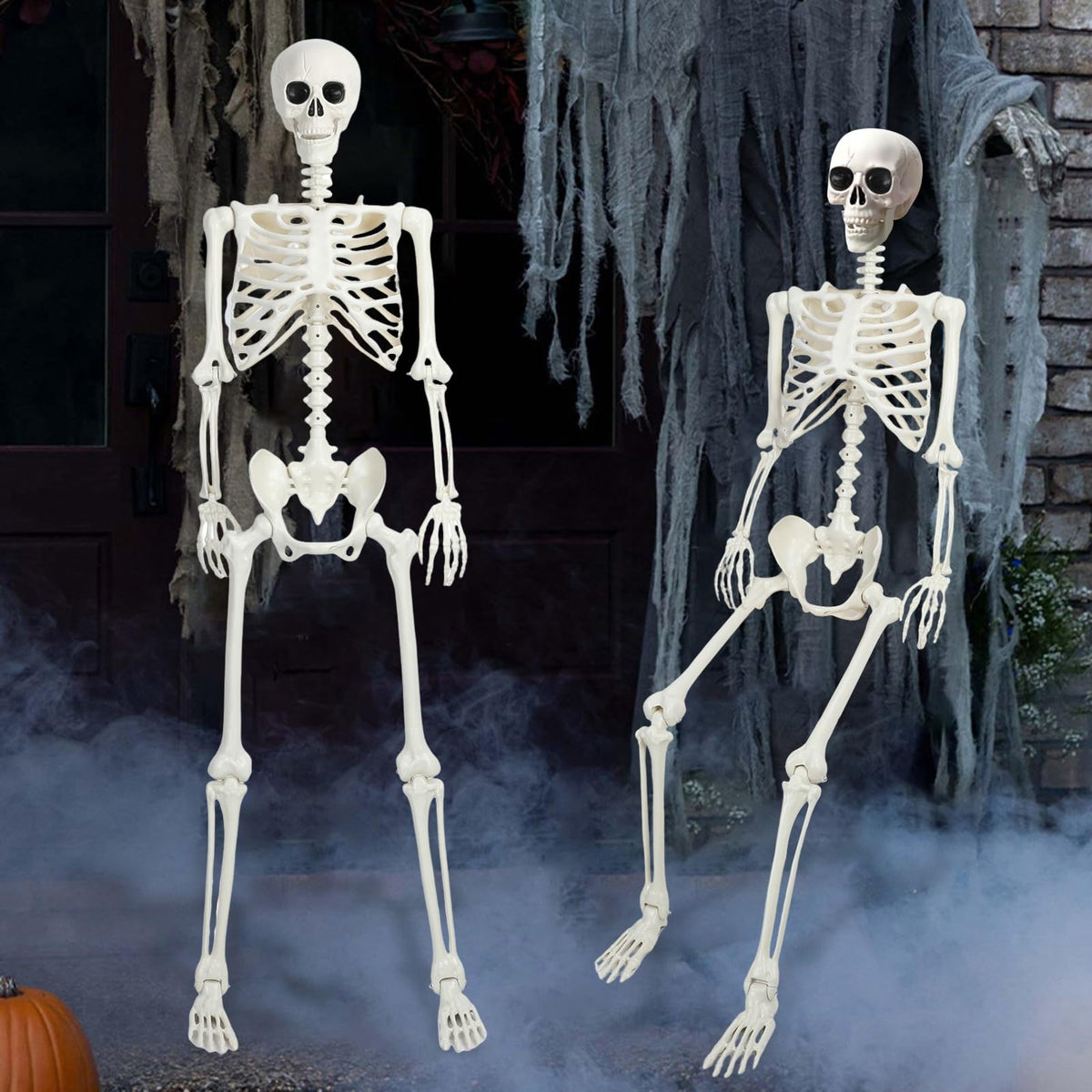5.4Ft/165cm Life Size Skeleton with Movable Joints T890