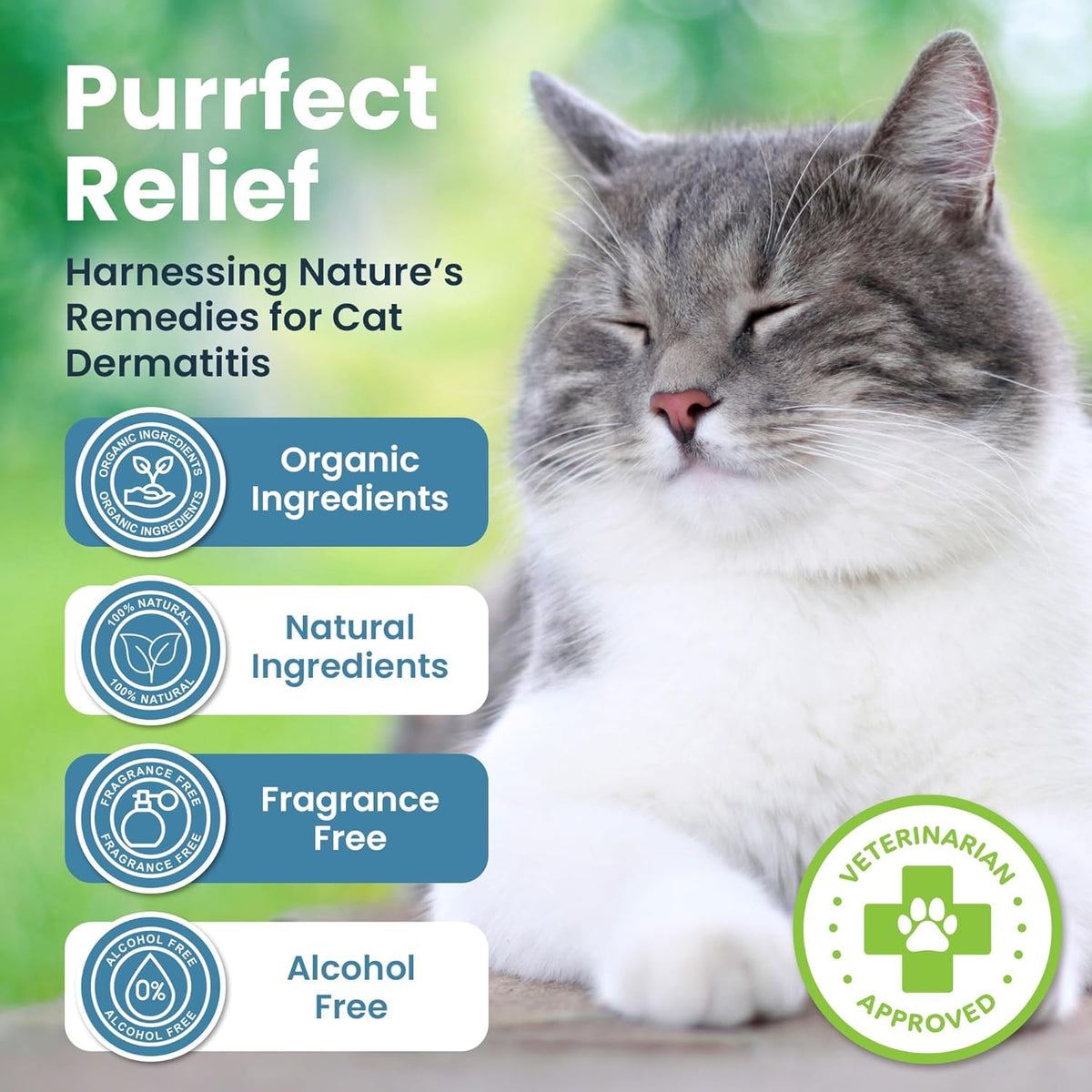Cat Paw Balm Cat Cream 2 oz T106826