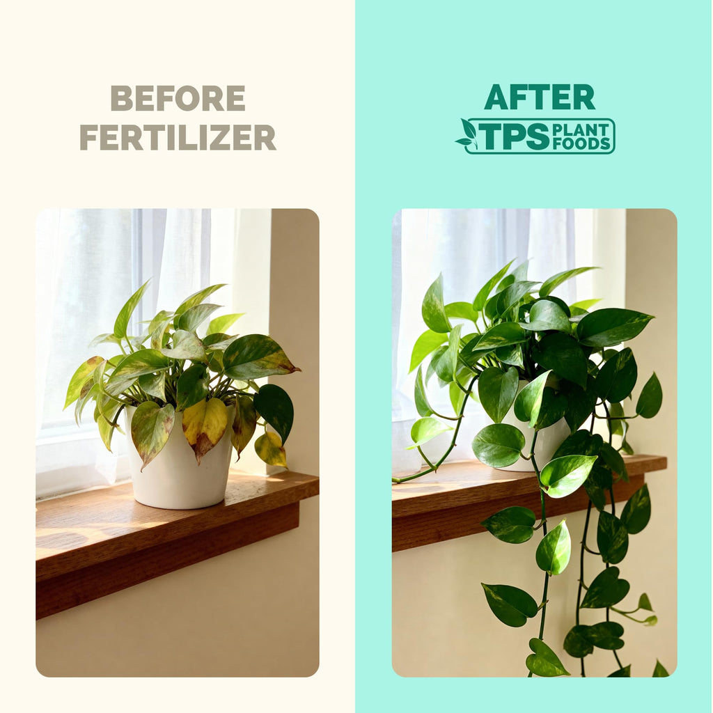Indoor Plant Food Liquid Fertilizer 32oz S61399