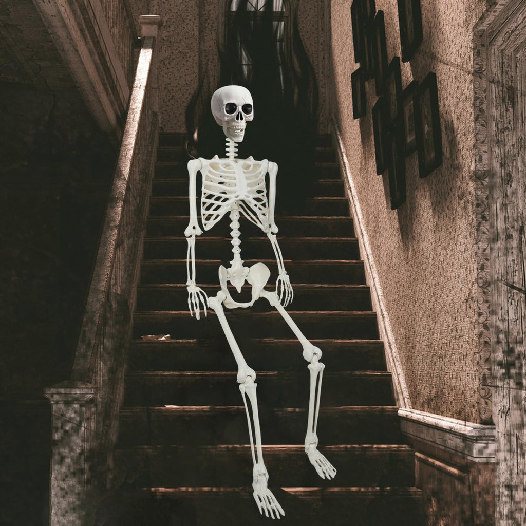 5.4Ft/165cm Life Size Skeleton with Movable Joints T890