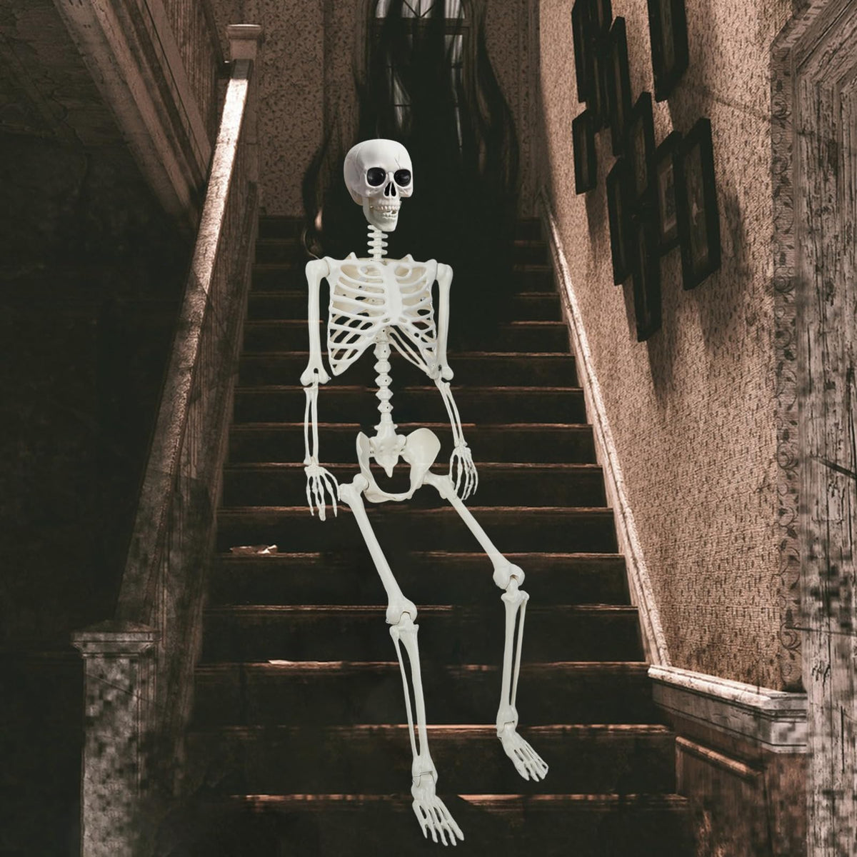 5.4Ft/165cm Life Size Skeleton with Movable Joints T890