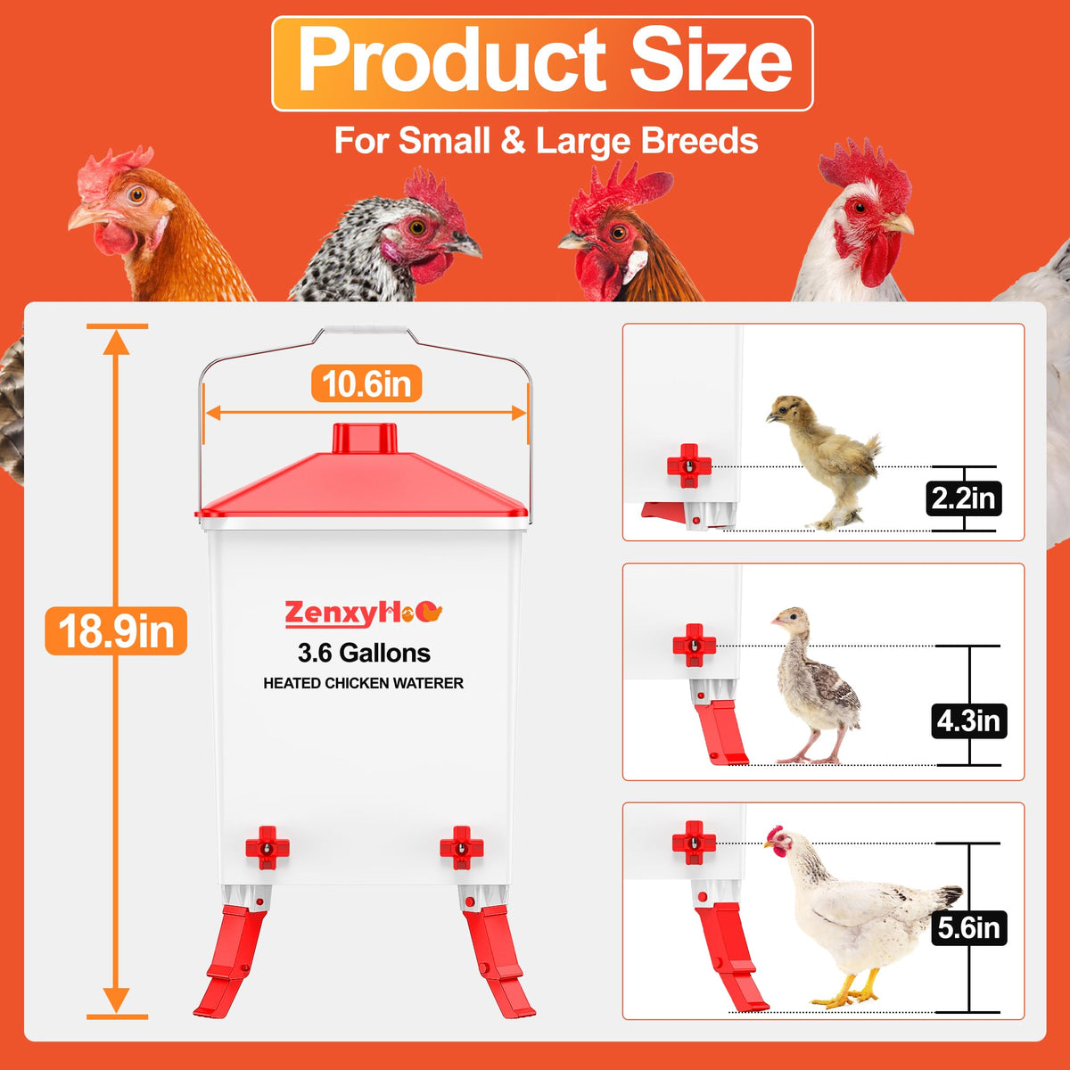 3.6 Gal Chicken Waterer with 4 Water Nipples O989372