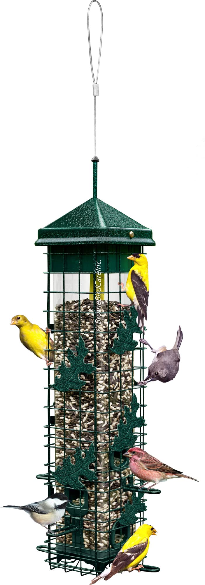 Squirrel-proof Bird Feeder with 6 Feeding Ports, 3.4-pound Seed Capacity P5898