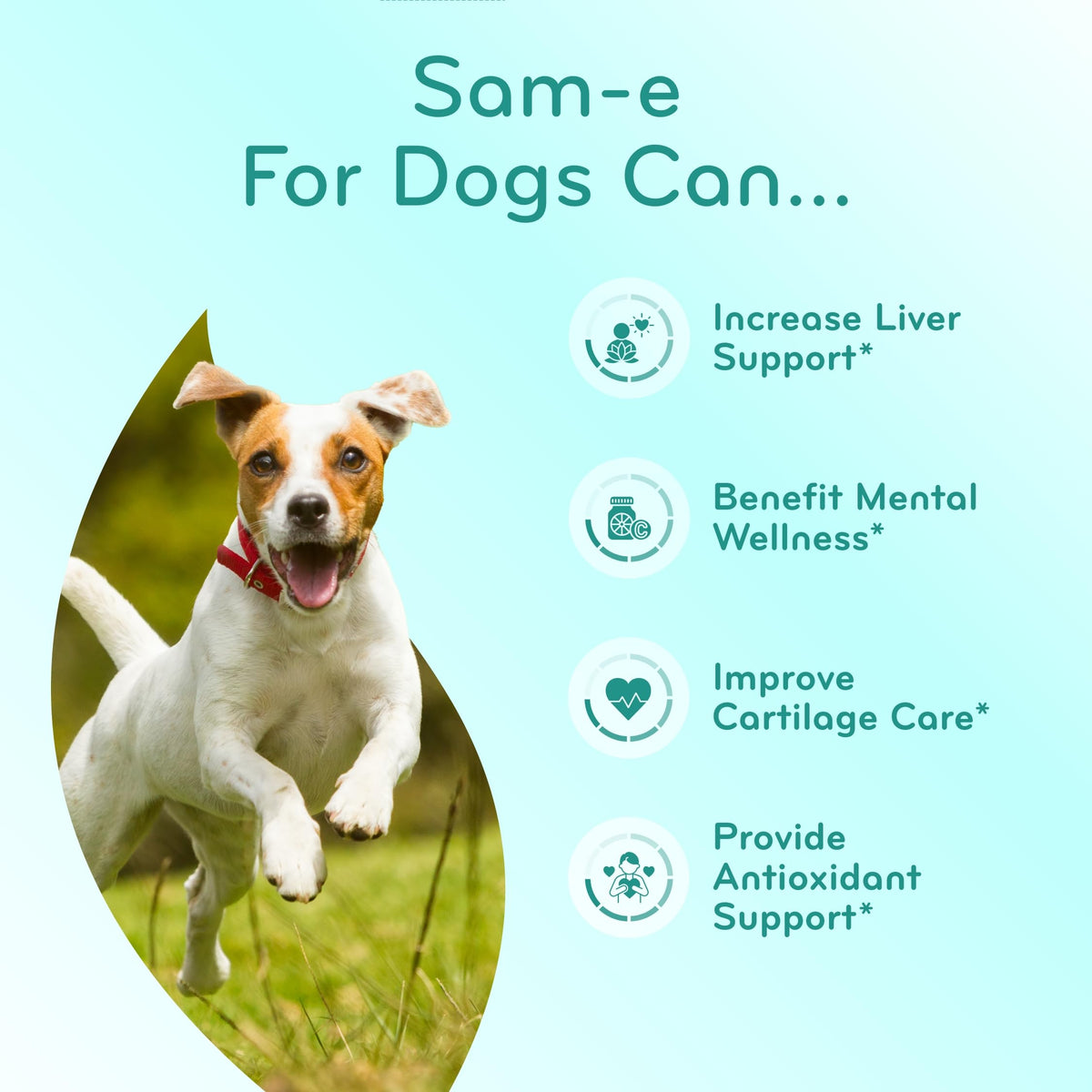 Chewable SAM-e Liver Support Supplement for Dogs 225mg V8735