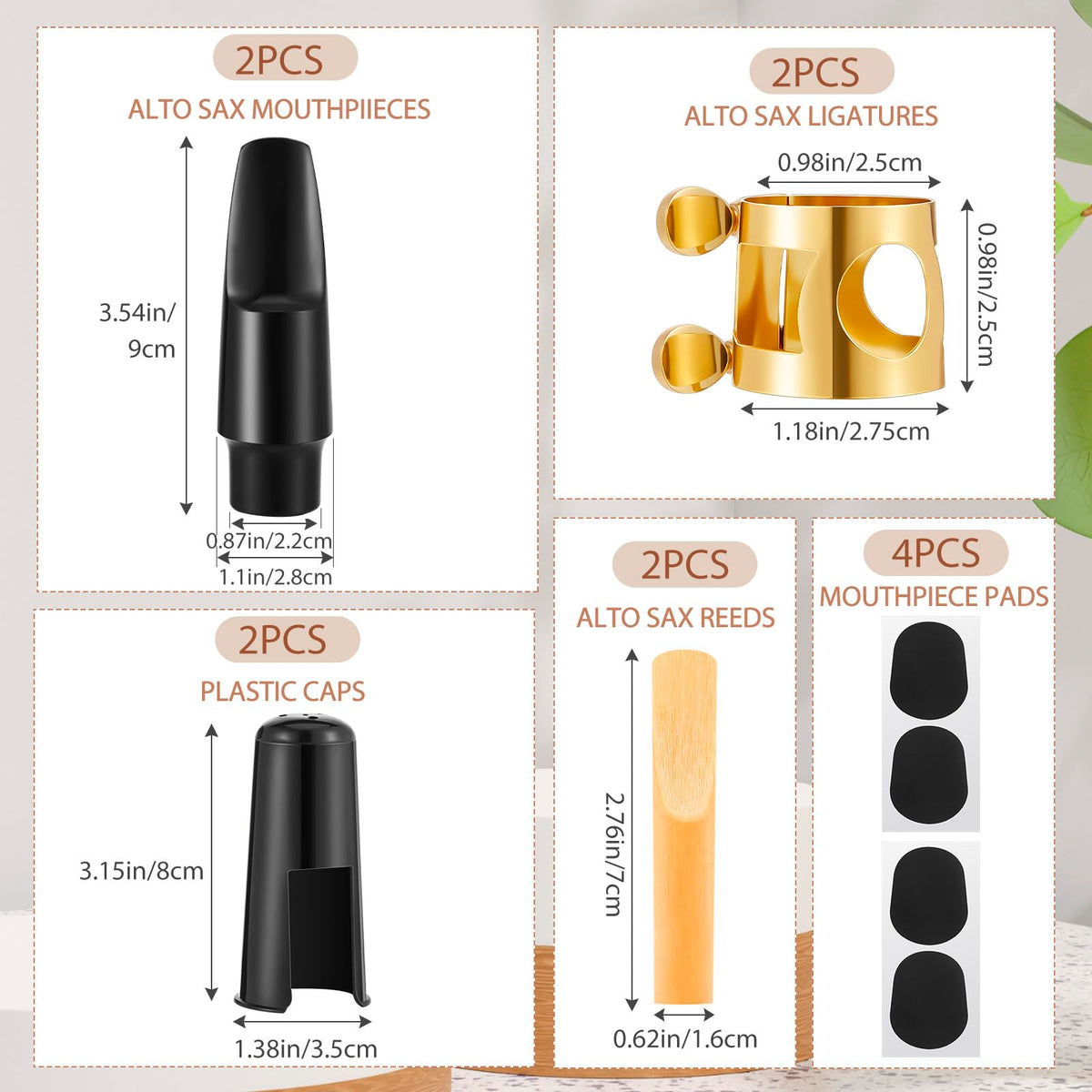 2 Set Alto Saxophone Mouthpiece Kit with 2.5 Reeds Z2161