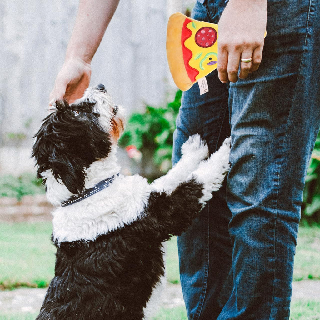 Squeaky Pizza Plush Dog Chew Toy 1 Pack Q1824