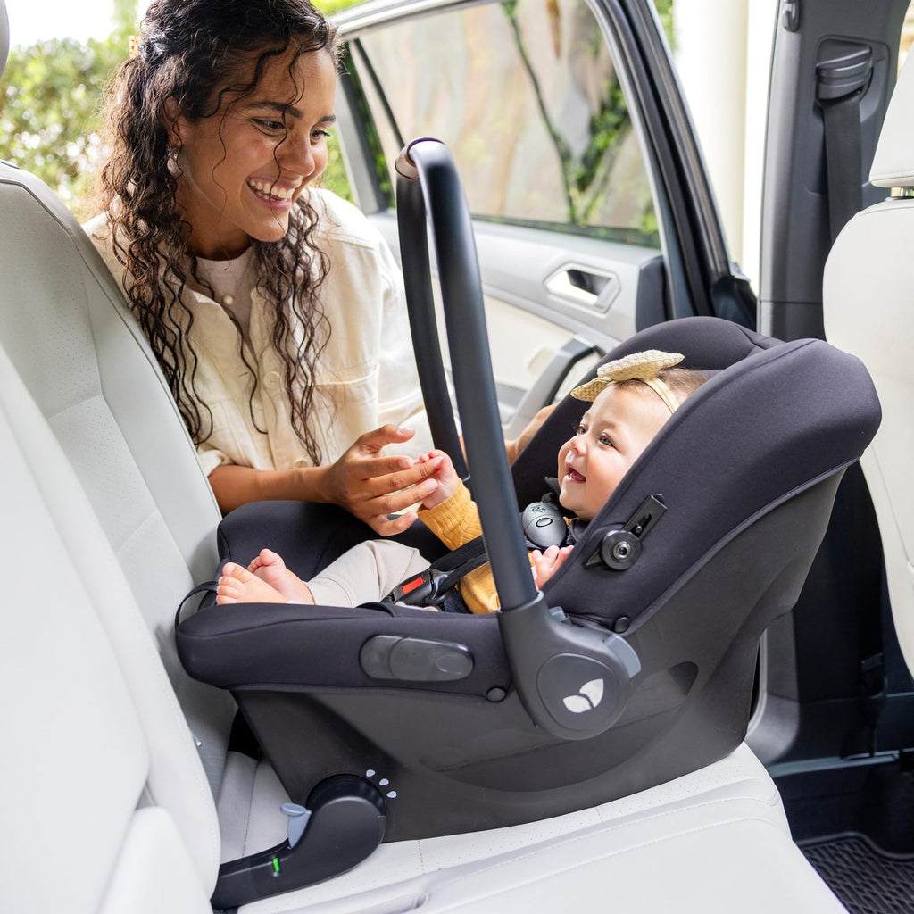 Car Seat and Base D259