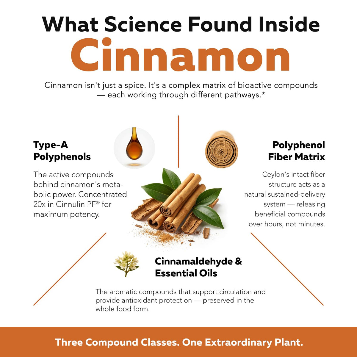 Cinnamon 1000mg Extract 60 Vegan Capsules V896
