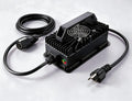 67.2V 10A Waterproof IP65 Lithium Battery Charger N3864