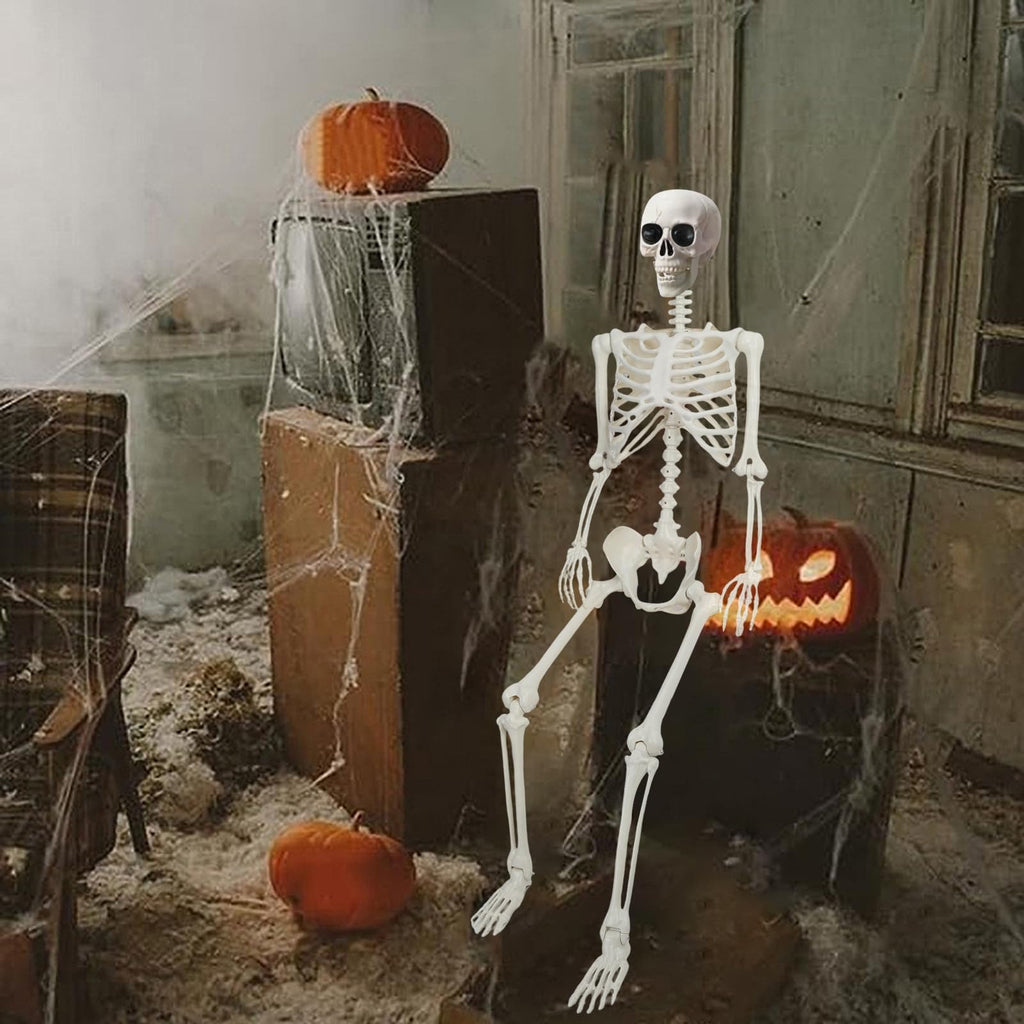 5.4Ft/165cm Life Size Skeleton with Movable Joints T890