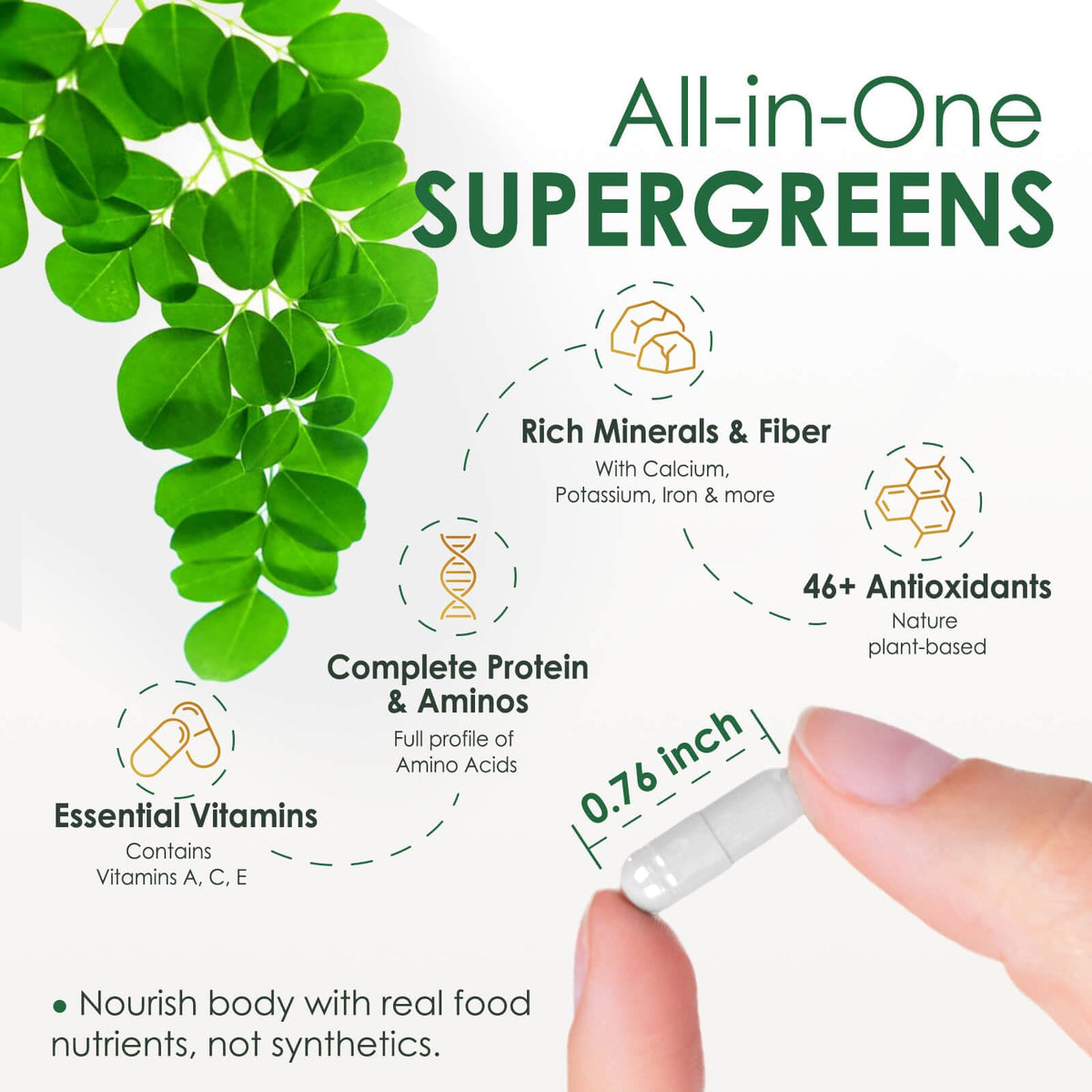 Pure Moringa Oleifera 1000mg Capsules, 120 Count H815074