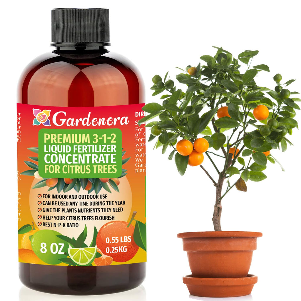 Liquid Citrus Tree Fertilizer 3-1-2 Concentrate 8oz L627973