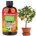 Liquid Citrus Tree Fertilizer 3-1-2 Concentrate 8oz L627973