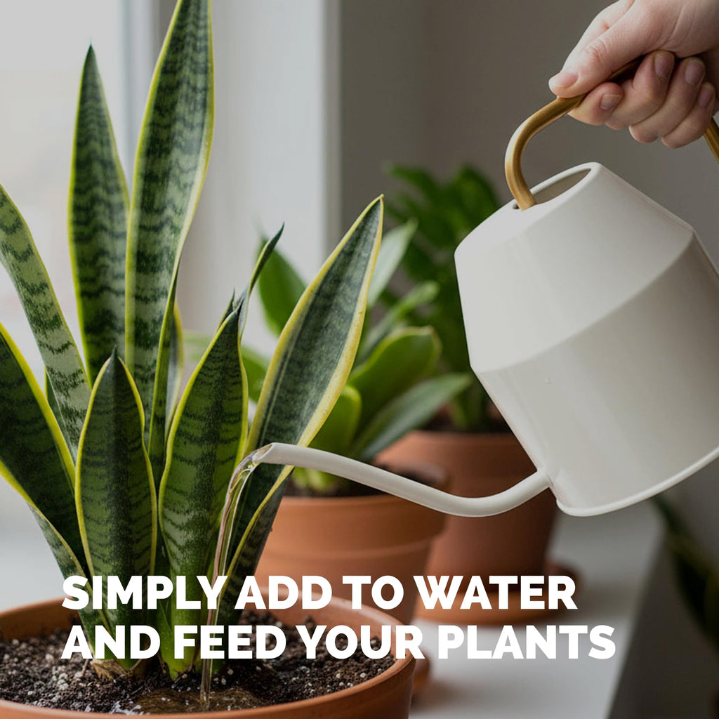 Indoor Plant Food Liquid Fertilizer 32oz S61399