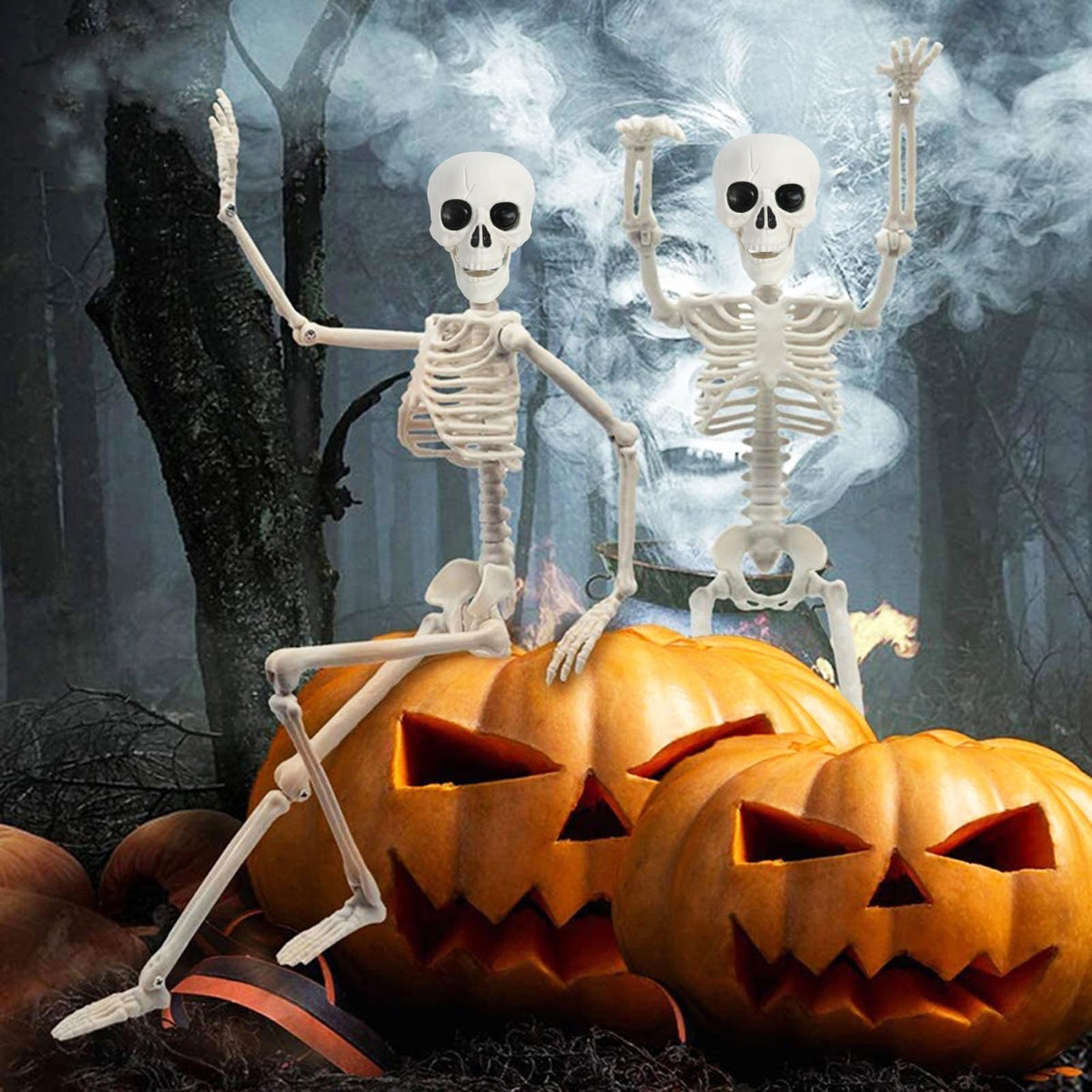 5.4Ft/165cm Life Size Skeleton with Movable Joints T890