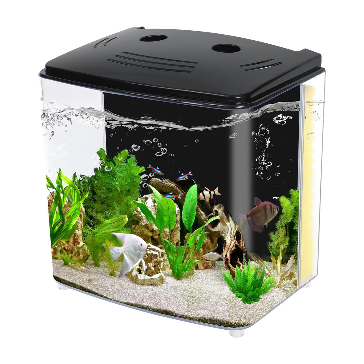 1.2 Gallon Aquarium Starter Kit with LED Light and Water Filter Pump G795476
