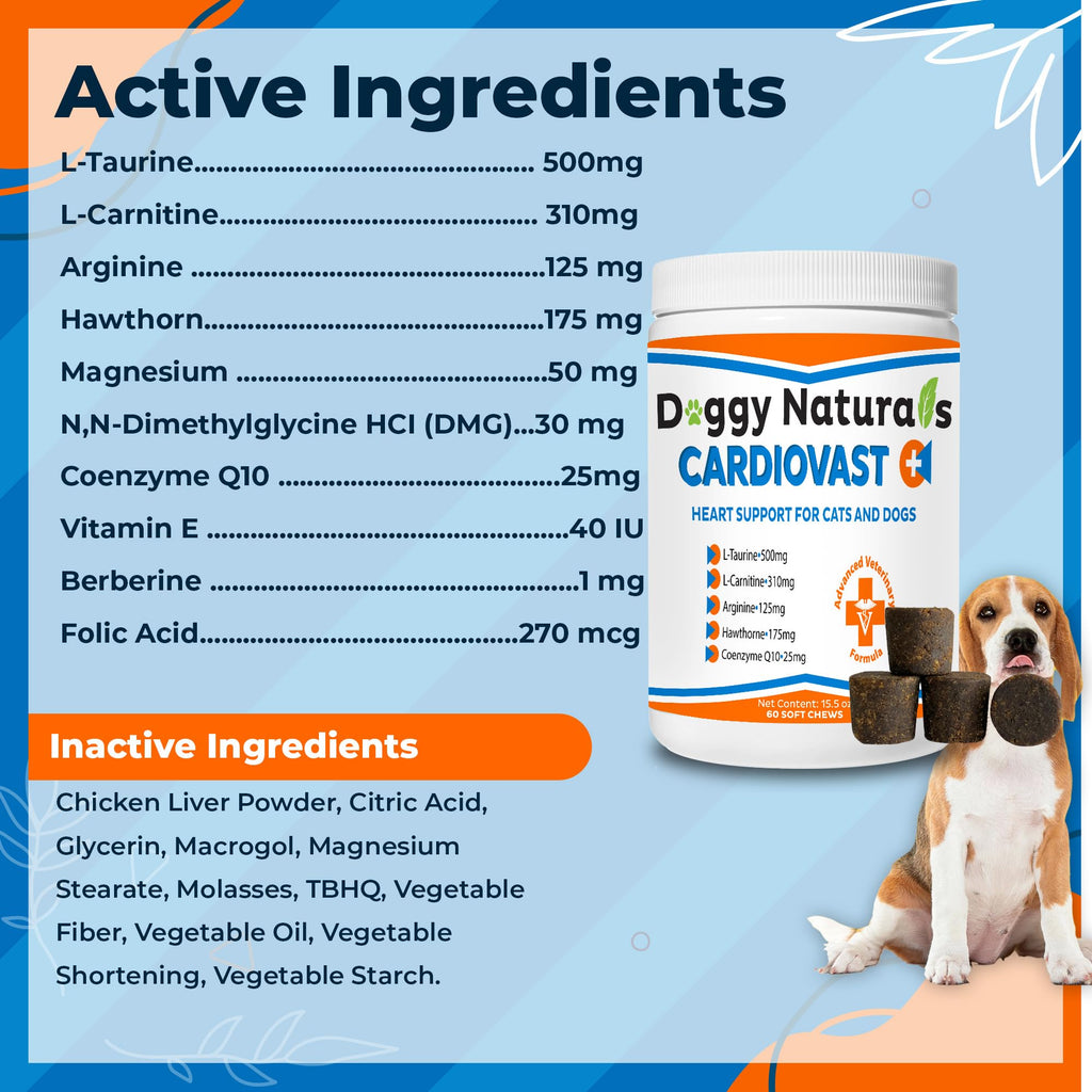 Cardio Support Supplement for Dogs and Cats, 60 Soft Chew Y74179