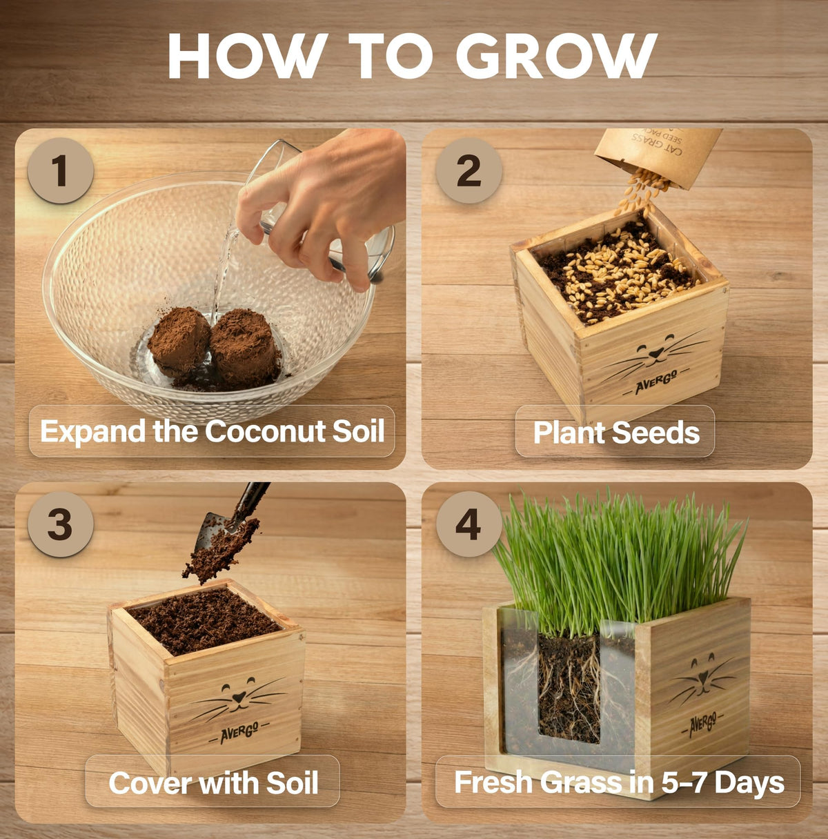 Cat Grass Kit with 2 Seed Packets W547140