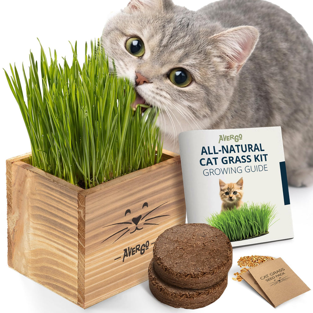 Cat Grass Kit with 2 Seed Packets W547140