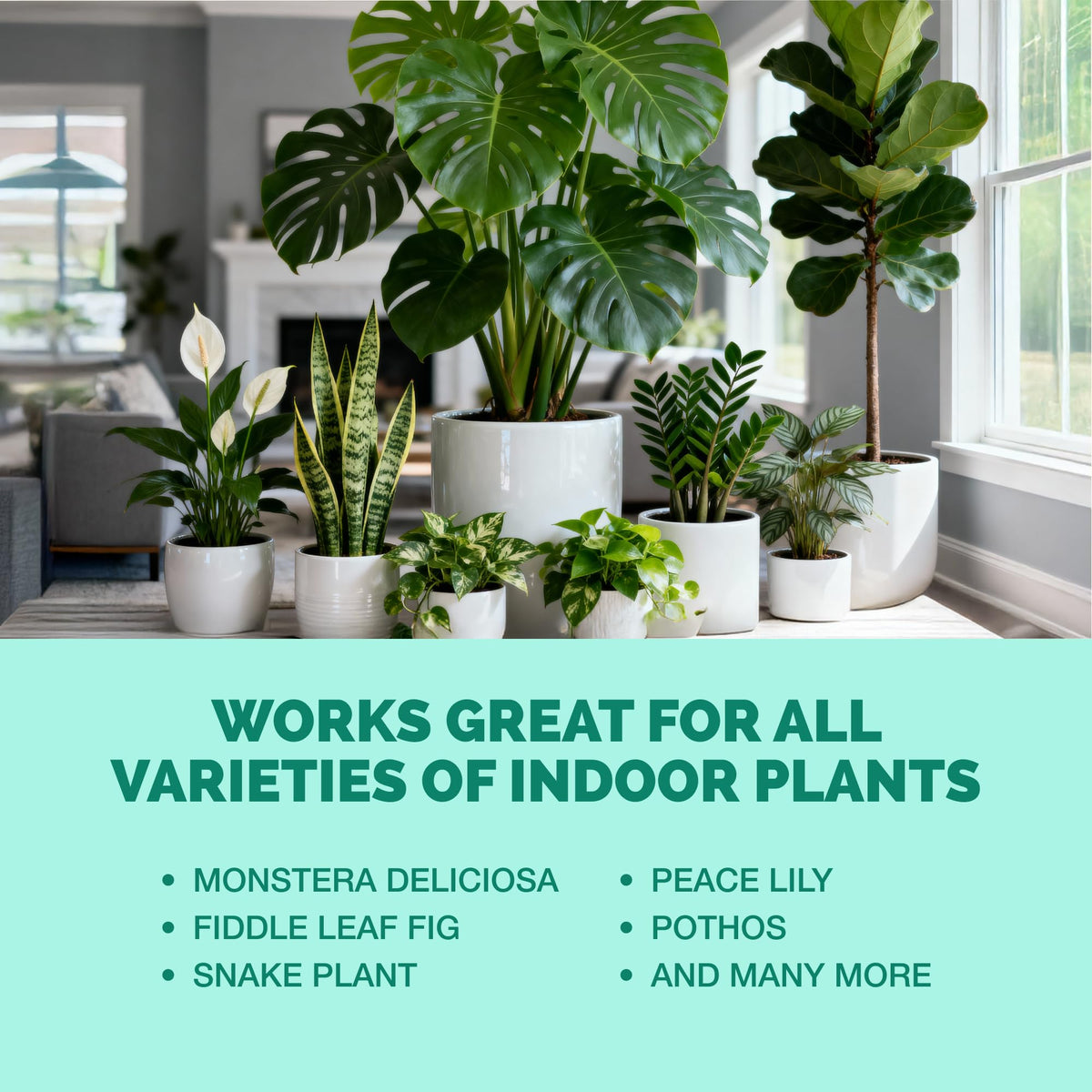 Indoor Plant Food Liquid Fertilizer 32oz S61399