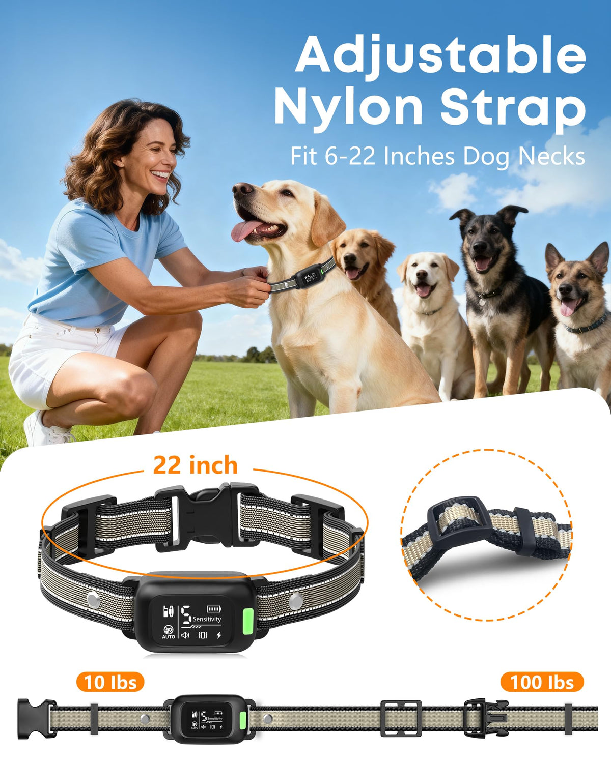 2-in-1 Dog Bark & Shock Collar with Remote F98204