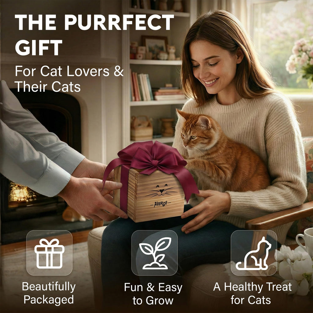 Cat Grass Kit with 2 Seed Packets W547140