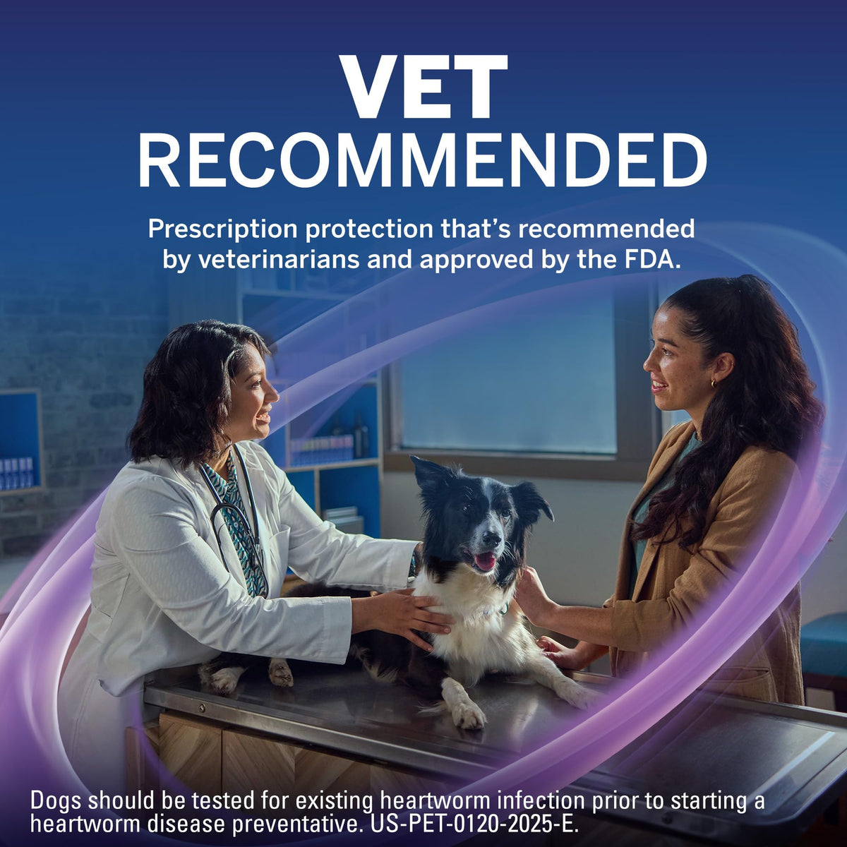 Flea and Tick Heartworm Preventive Soft Chewables for Dogs 4-8 lbs 6 Chews B95563