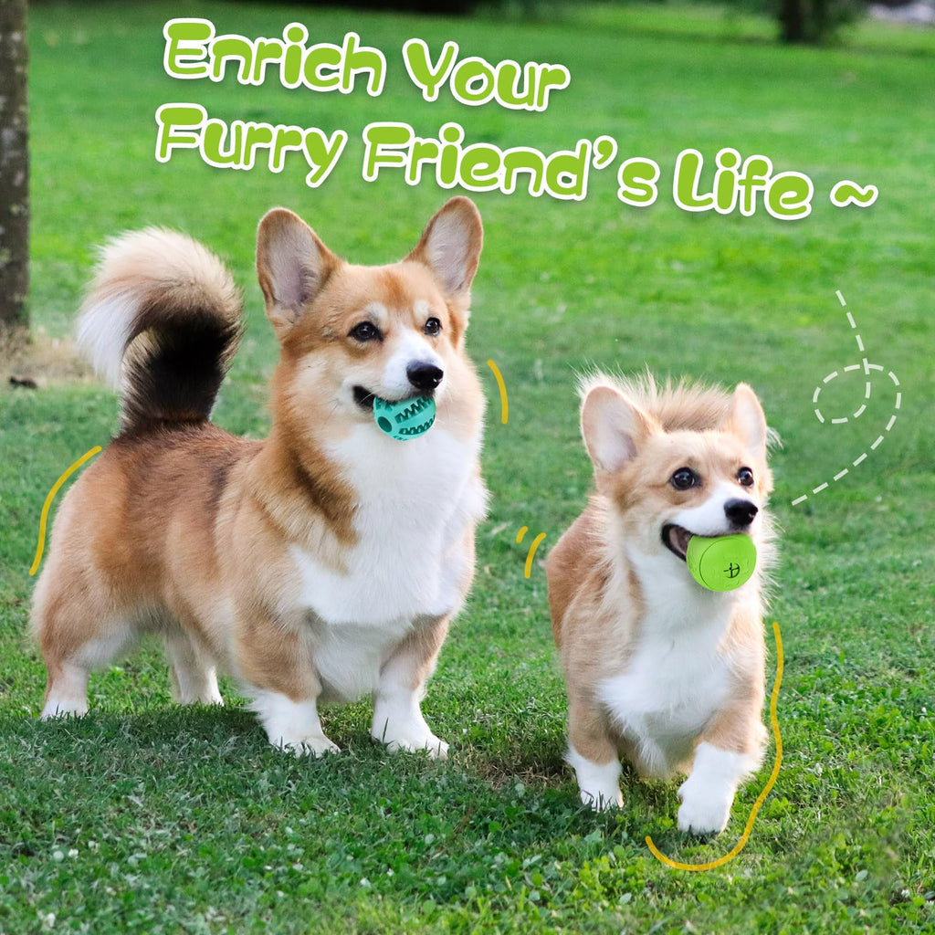 2 Pack Interactive Dog Puzzle Toys F3107