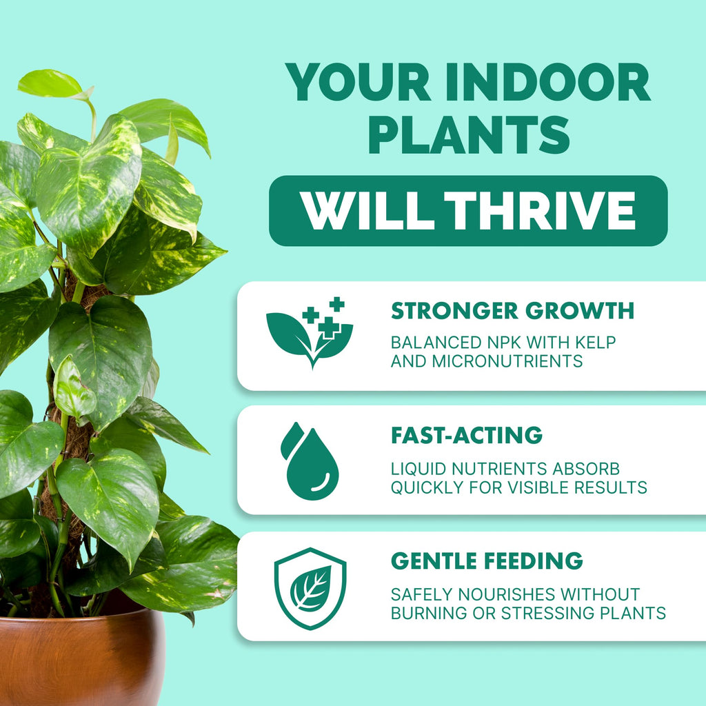 Indoor Plant Food Liquid Fertilizer 32oz S61399