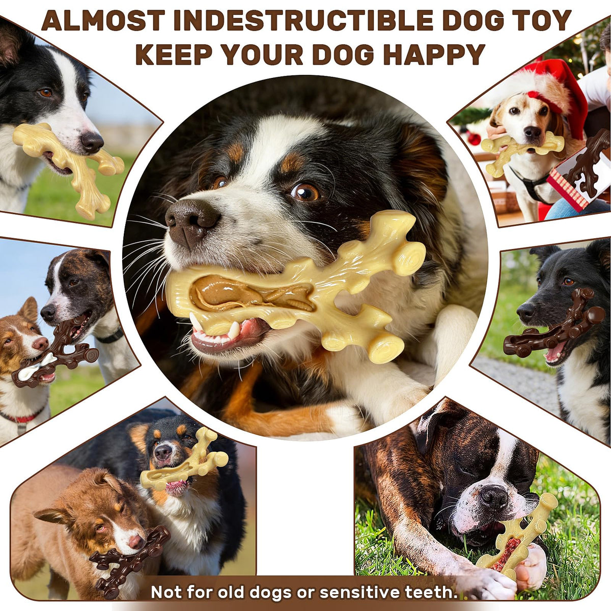 2 Pack Dog Chew Toys for Medium Large Breed N703