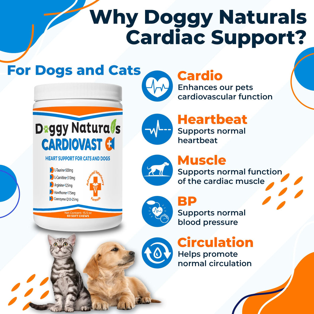 Cardio Support Supplement for Dogs and Cats, 60 Soft Chew Y74179