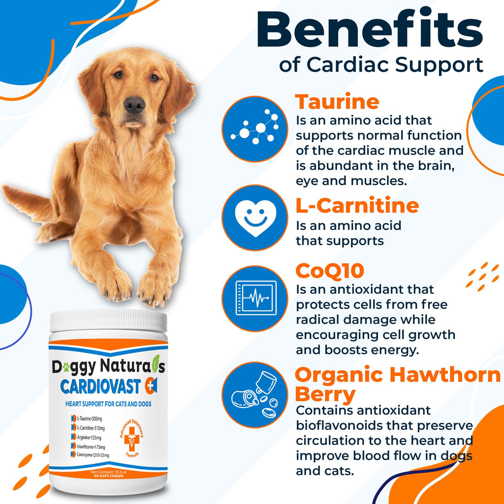 Cardio Support Supplement for Dogs and Cats, 60 Soft Chew Y74179