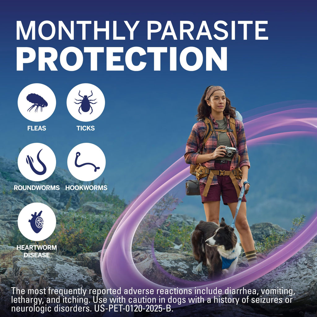 Flea and Tick Heartworm Preventive Soft Chewables for Dogs 4-8 lbs 6 Chews B95563