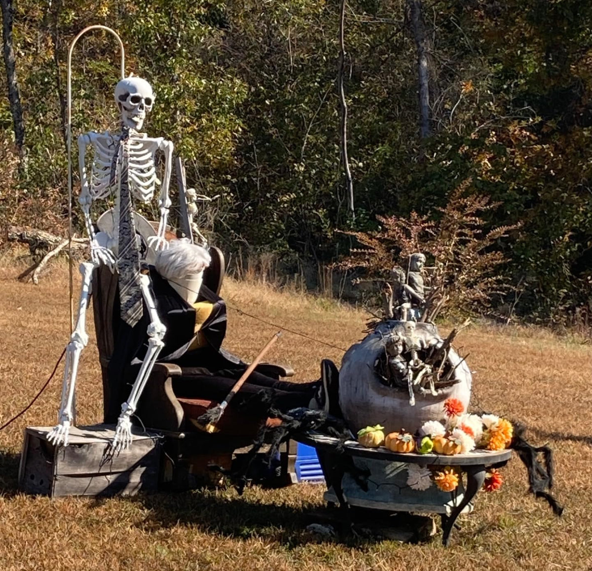 5.4ft Life Size Skeleton with Movable Joints R66812